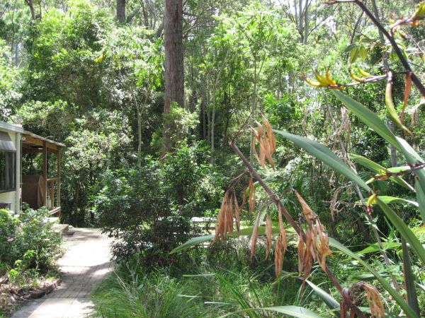 Dunns Creek Downs Nature Stay - Nambucca Heads Accommodation 0