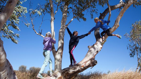 Hamilton Downs Youth Camp - Accommodation Mt Buller 4