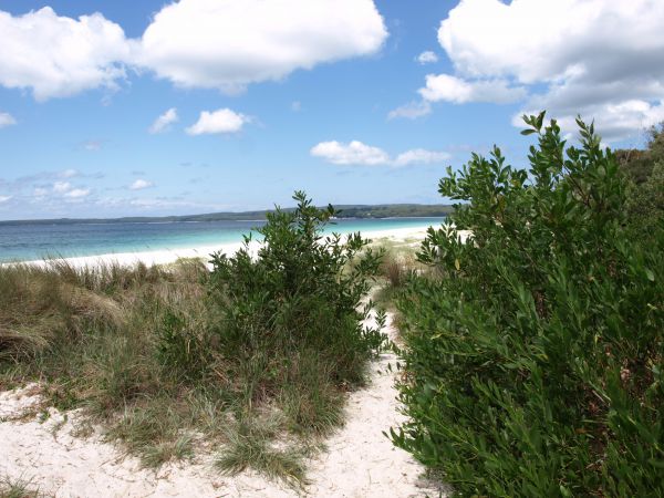 Hyams Beach Holiday Apartment - Accommodation Melbourne 9