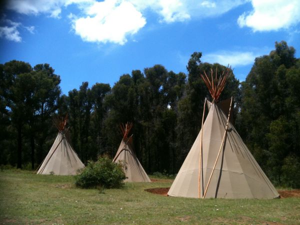 Kinglake Forest Adventures Camp - Accommodation Brunswick Heads 0