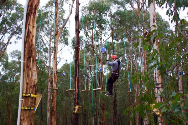 Kinglake Forest Adventures Camp - Accommodation Melbourne 5