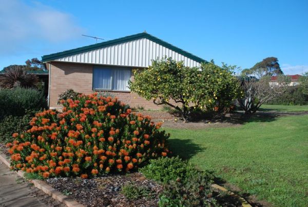 Lemontree Cottage Kangaroo Island - Geraldton Accommodation 0