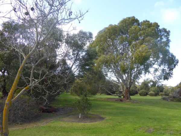 Lemontree Cottage Kangaroo Island - Accommodation Melbourne 2