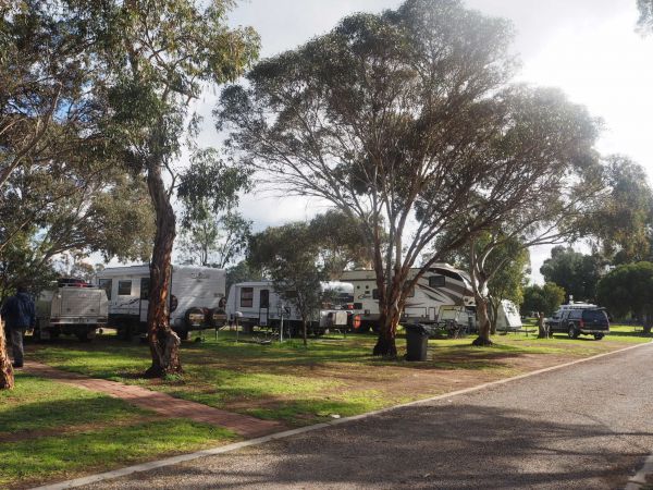 Murray Bridge Marina Camping And Caravan Park - Accommodation Gold Coast 4