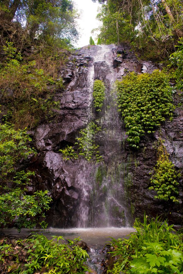 Nimbin waterfall retreat - Kempsey Accommodation