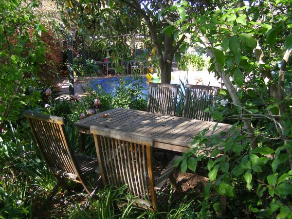Palm Haven Bed And Breakfast - Grafton Accommodation 9
