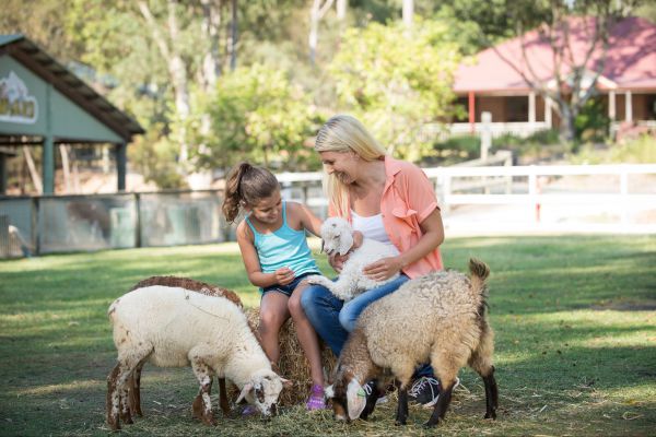 Paradise Country Farmstay - Surfers Gold Coast 6