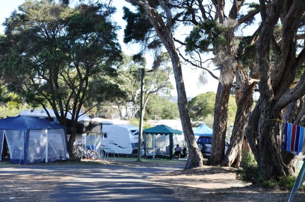 Queenscliff Tourist Park - Accommodation Port Macquarie 2