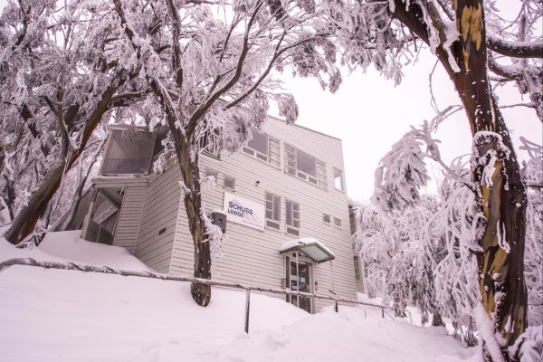 Schuss Lodge Mt Buller - Accommodation in Surfers Paradise 0