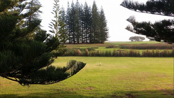 Seaview Hotel And Cottages Norfolk Island - thumb 1