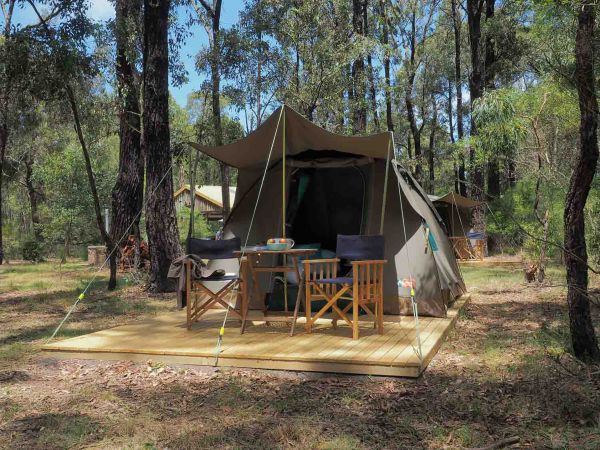 Tall Trees Camping On The Great Ocean Road - Grafton Accommodation 0