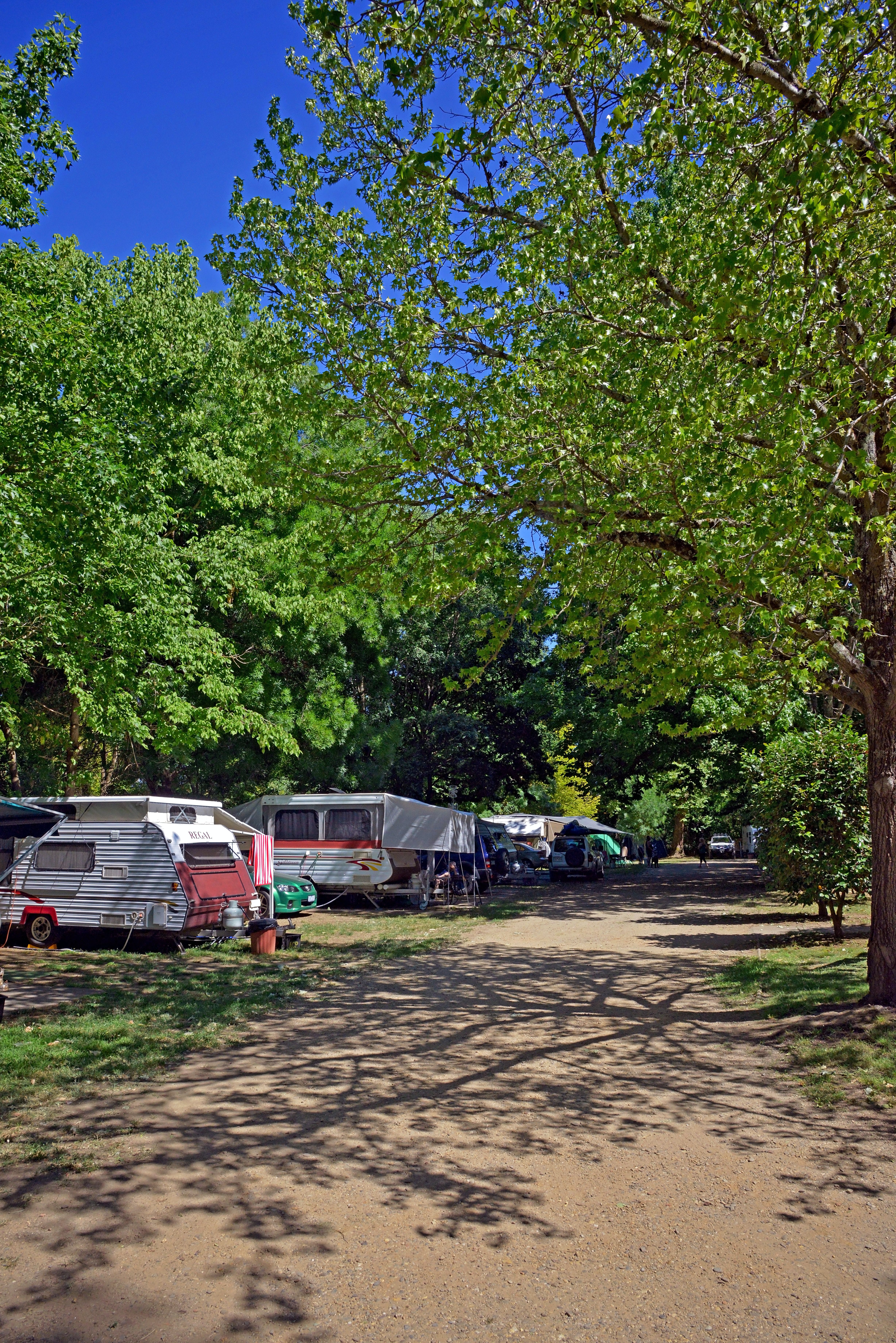 Ardern's Caravan Park Myrtleford - thumb 1
