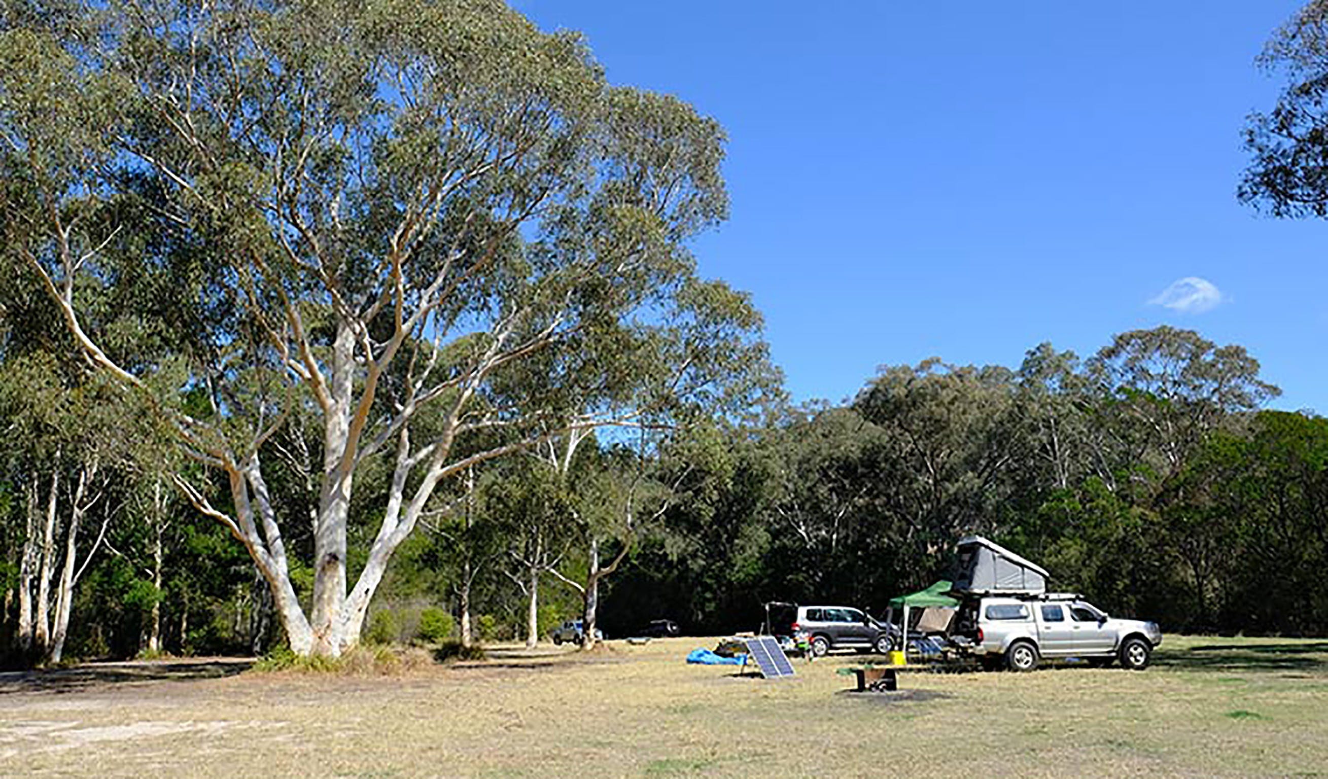 Burralow Creek Campground And Picnic Area - thumb 0