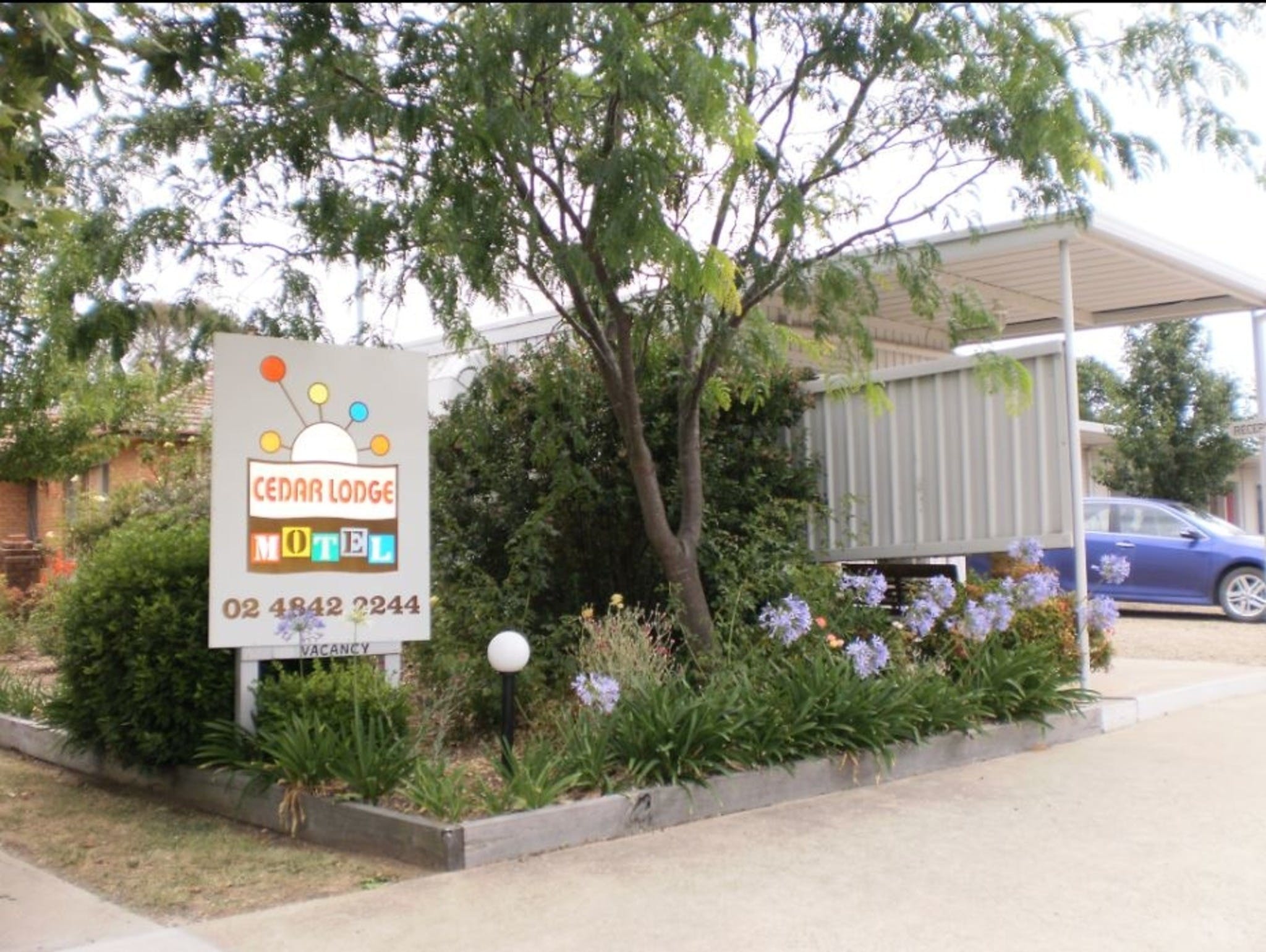 Cedar Lodge Motel - Tourism Canberra