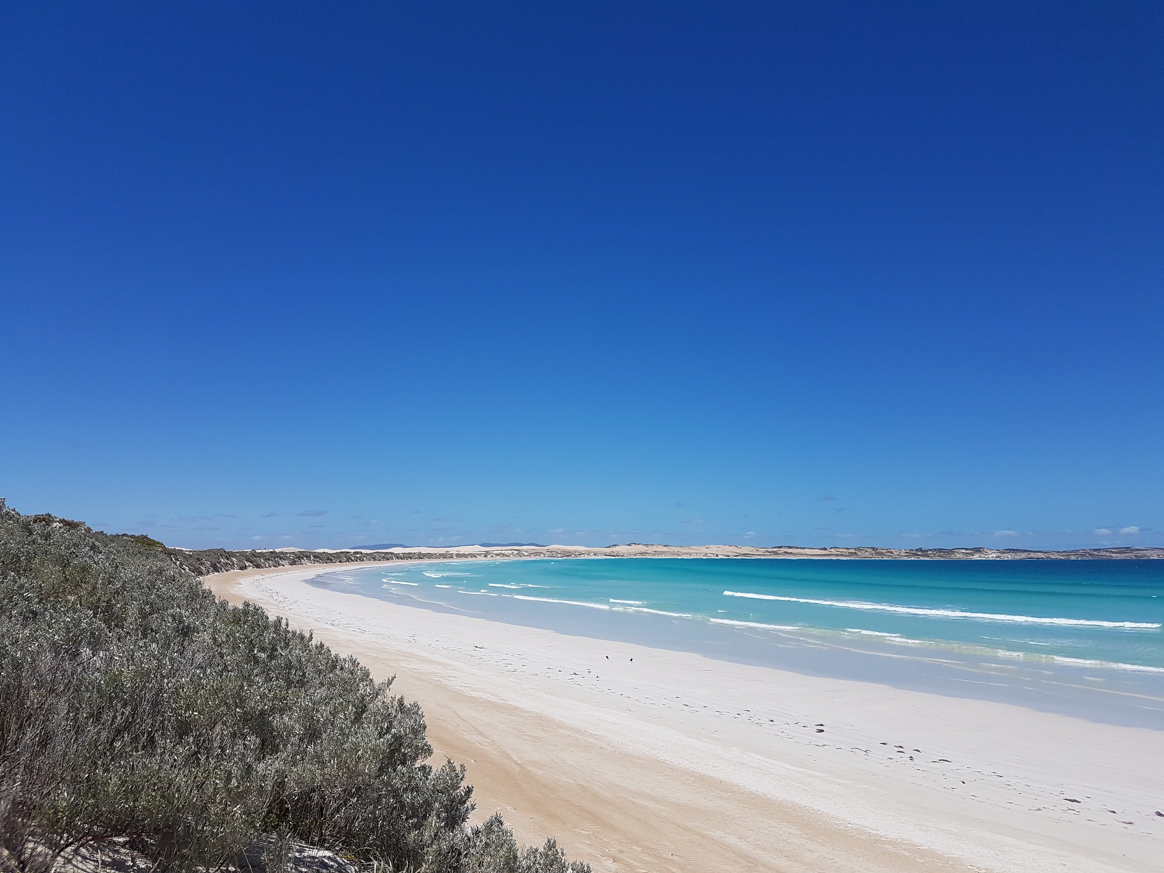 Coffin Bay National Park Campgrounds - Wagga Wagga Accommodation