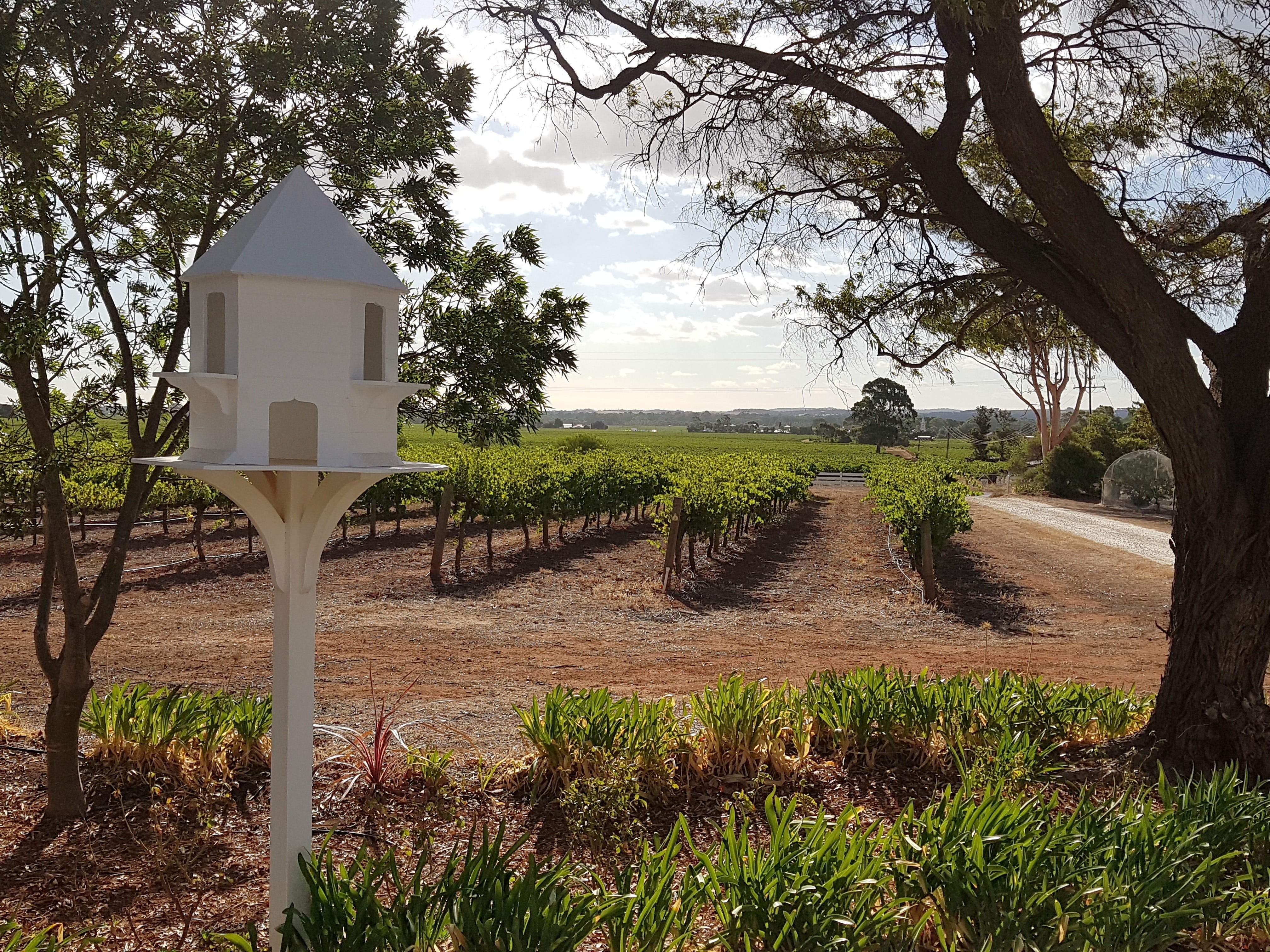 'In The Vines' Guest Cottage - Mount Gambier Accommodation