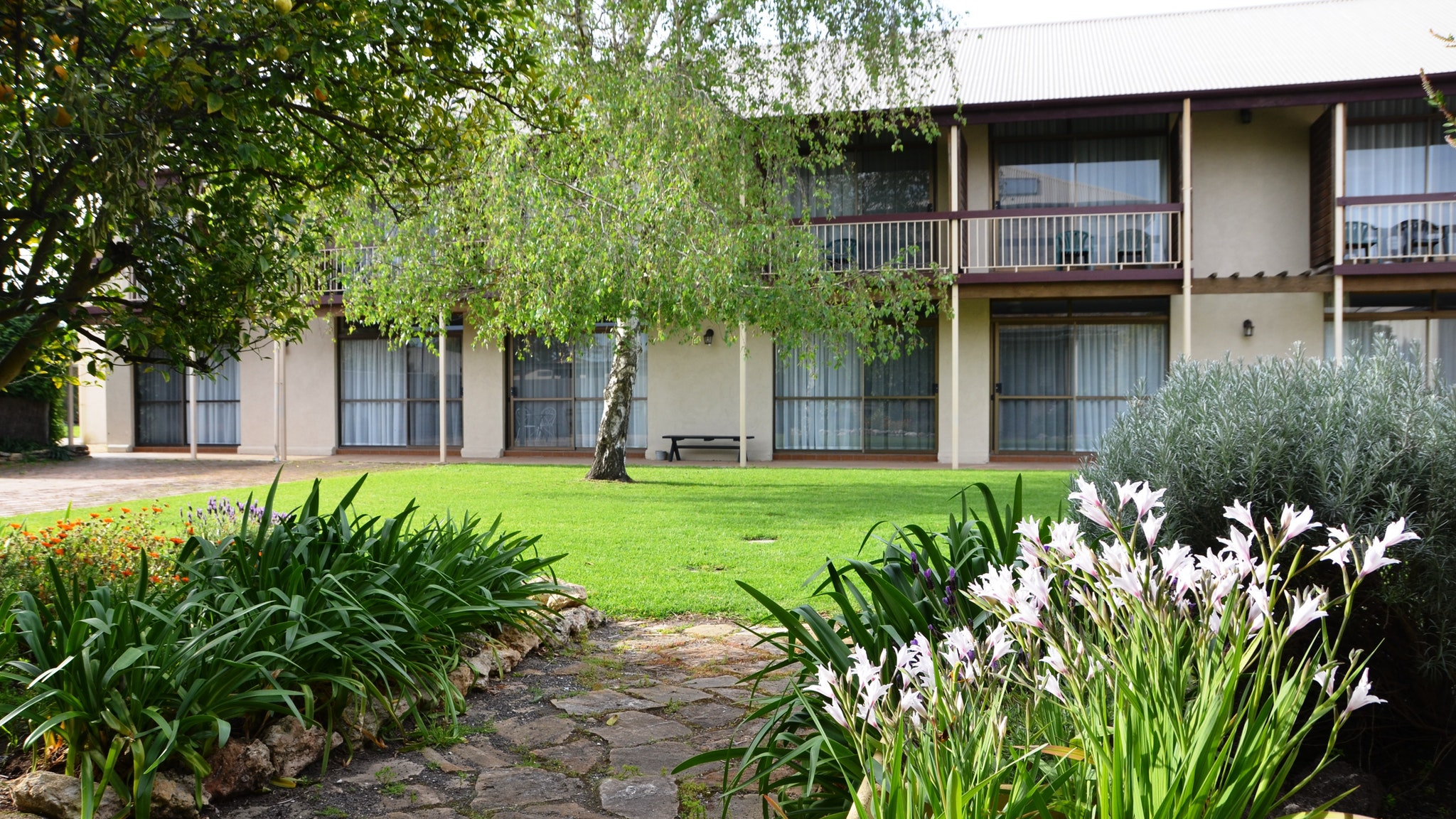Coonawarra Motor Lodge - Accommodation in Surfers Paradise