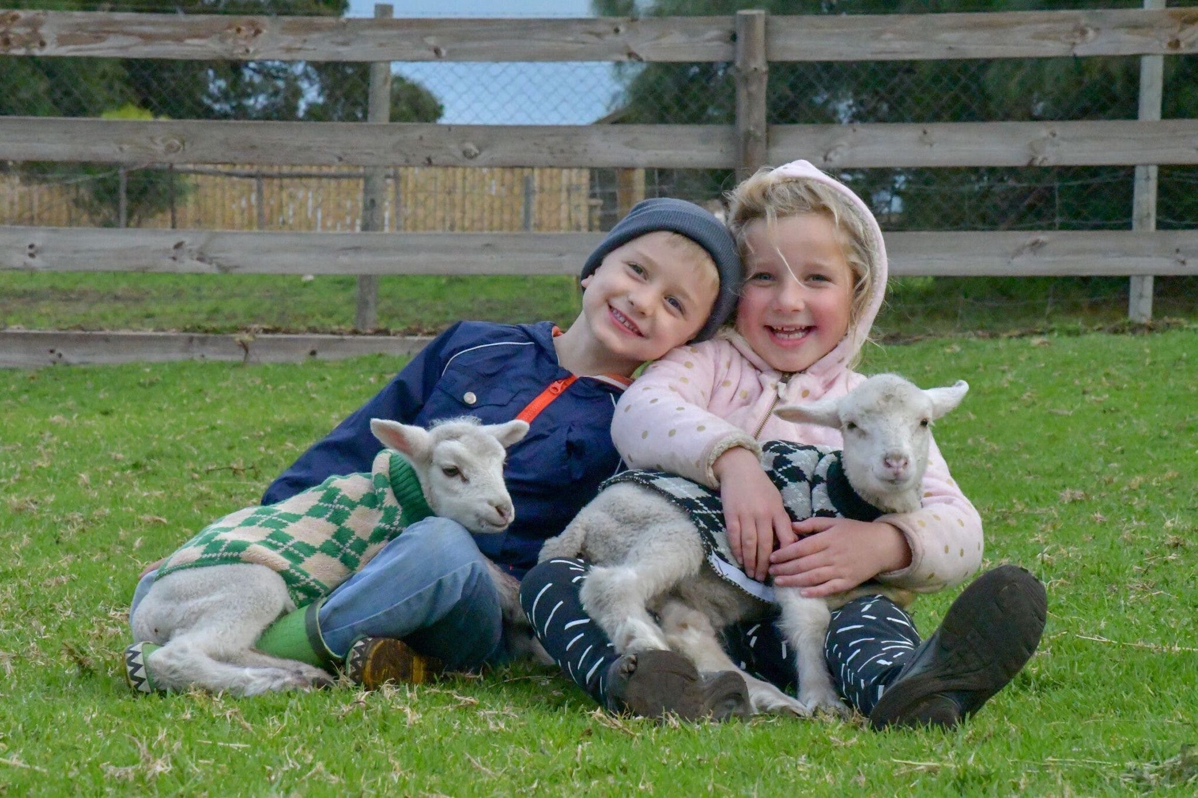 Narnu  Farm Farm stay/ School Camp - Accommodation Australia