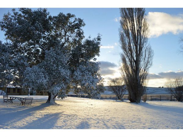 Snowy Mountains Resort - Accommodation Nelson Bay