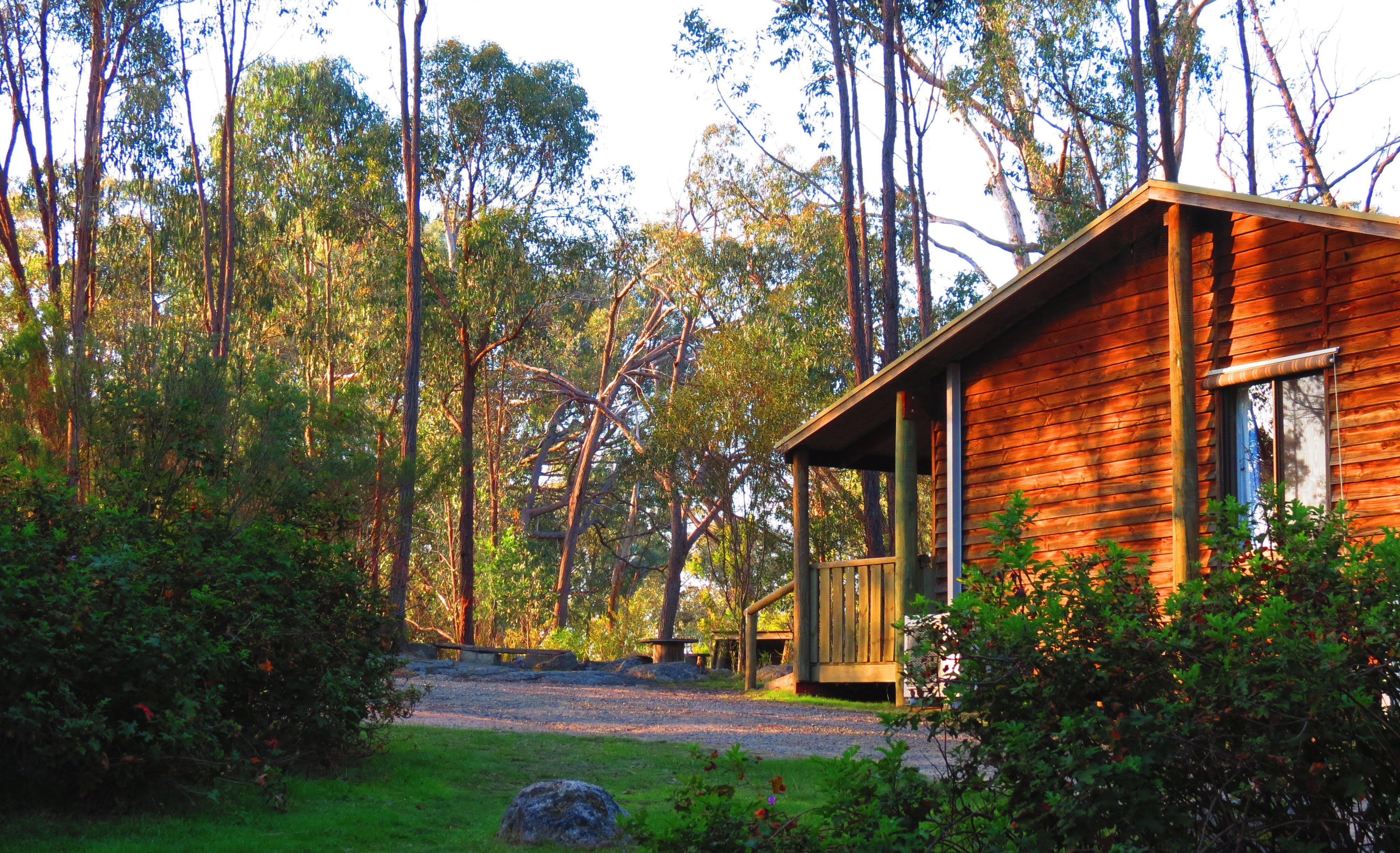 The Woolshed Cabins - thumb 0