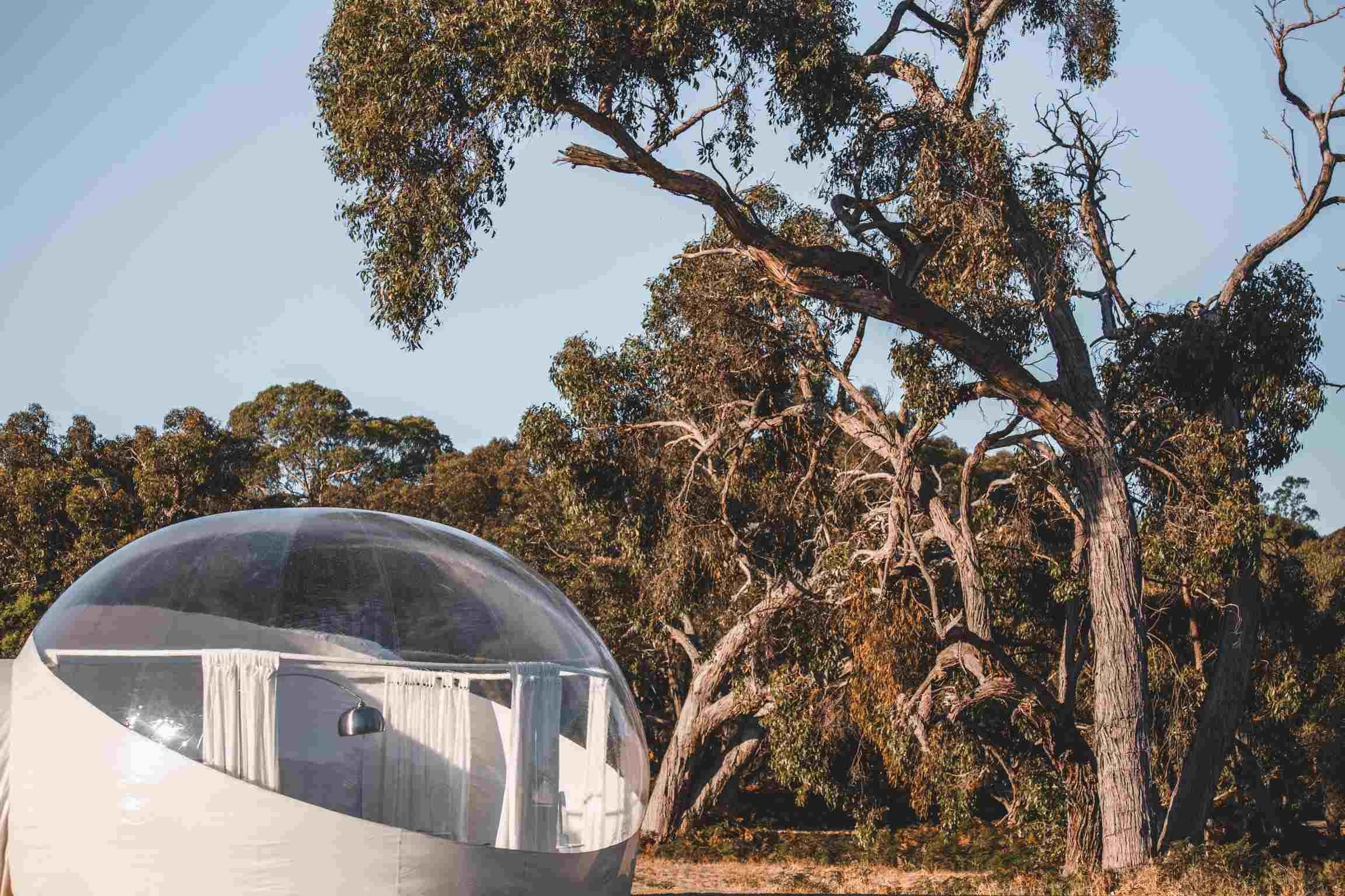 Coonawarra Bubble Tents - Lismore Accommodation