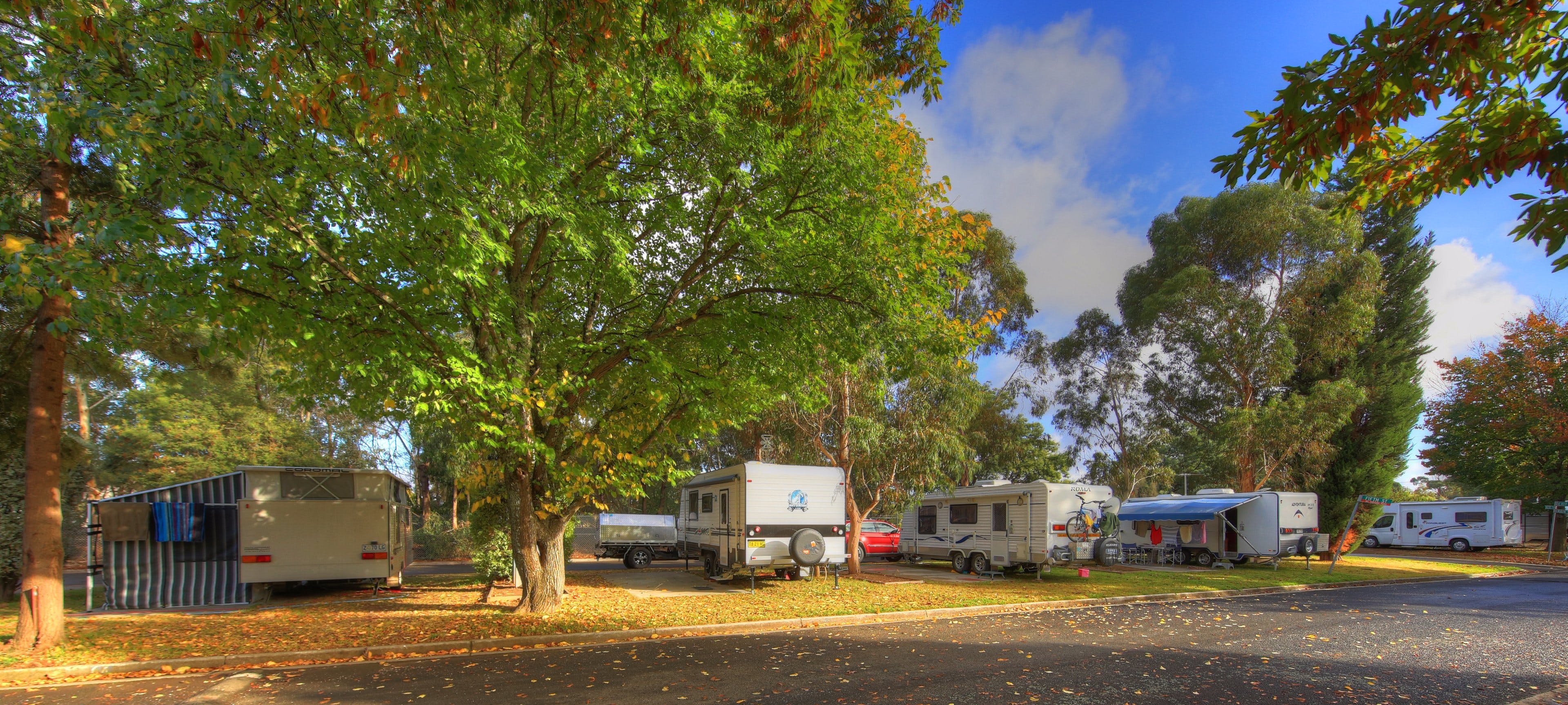 Eureka Stockade Holiday Park - thumb 7