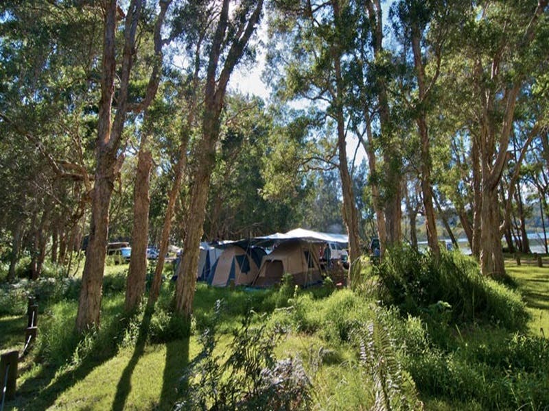 Neranie campground and picnic area - Tourism Brisbane