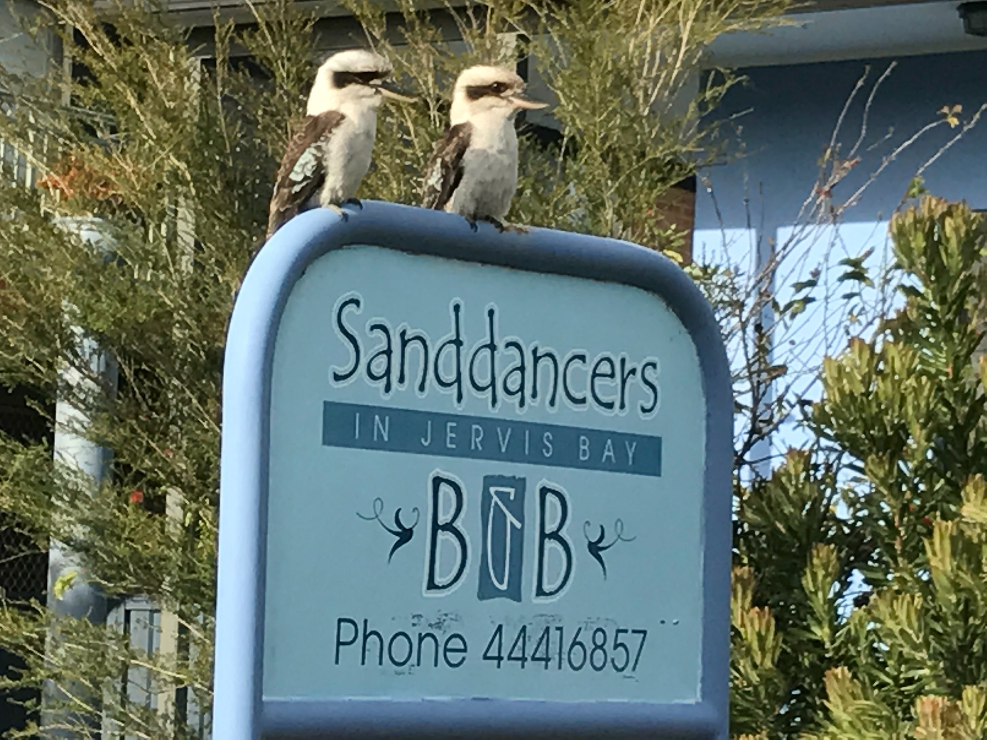 Sanddancers Bed And Breakfast In Jervis Bay - thumb 1