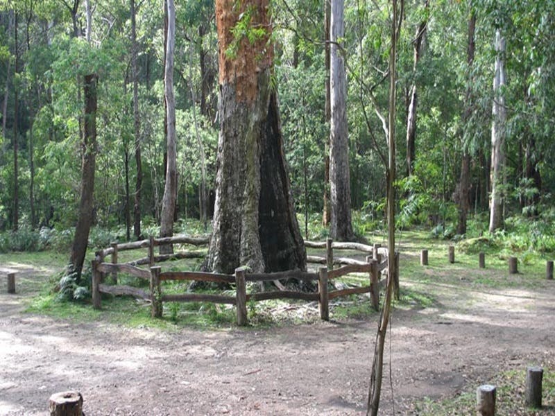 Six Mile Creek campground - Accommodation Nelson Bay