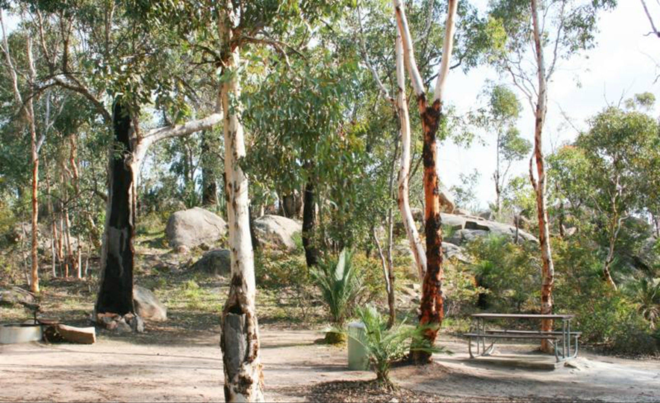 Bald Hill  Camp at Avon Valley National Park - Accommodation VIC
