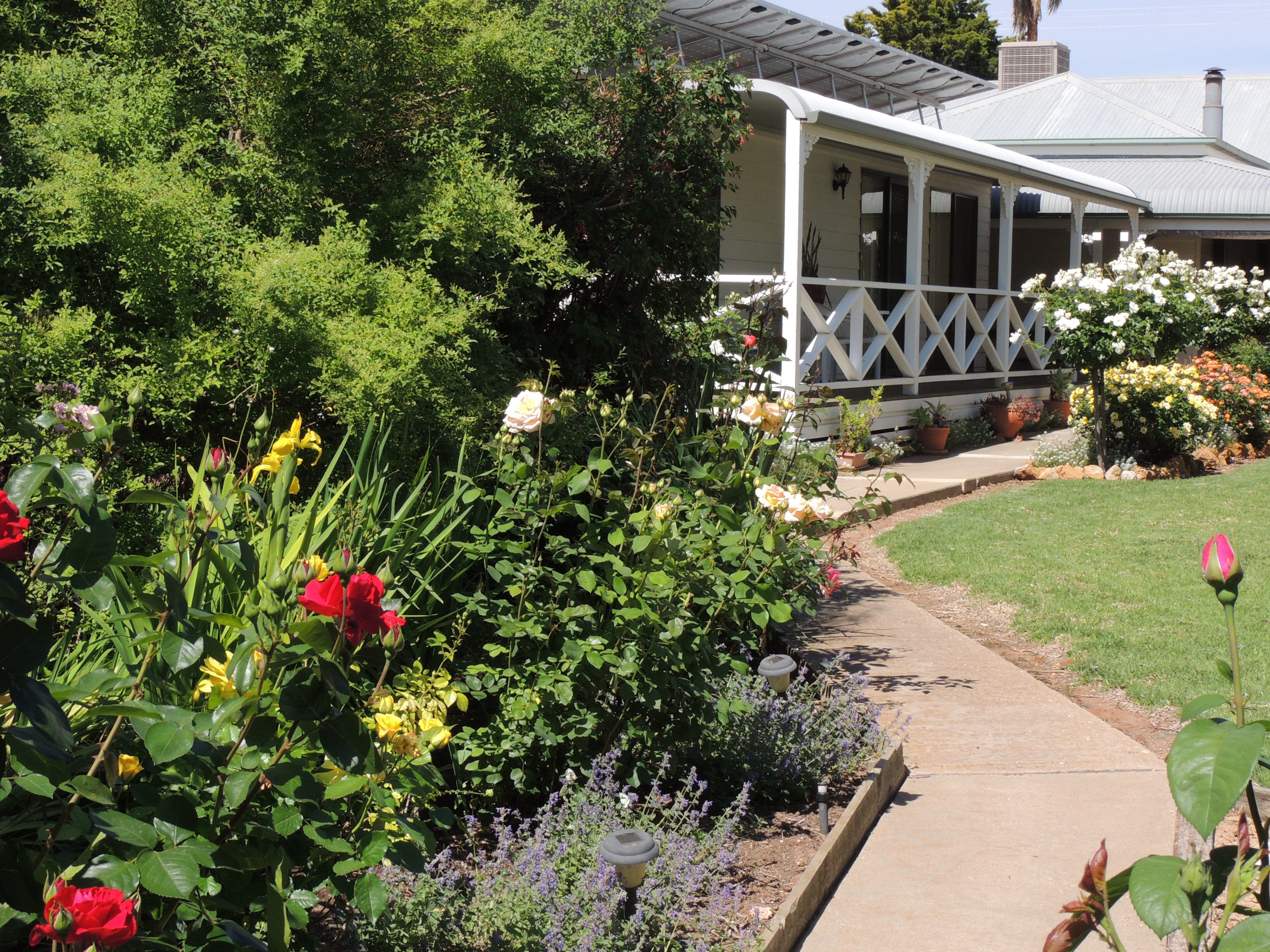 Burrabliss Bed and Breakfast - Grafton Accommodation