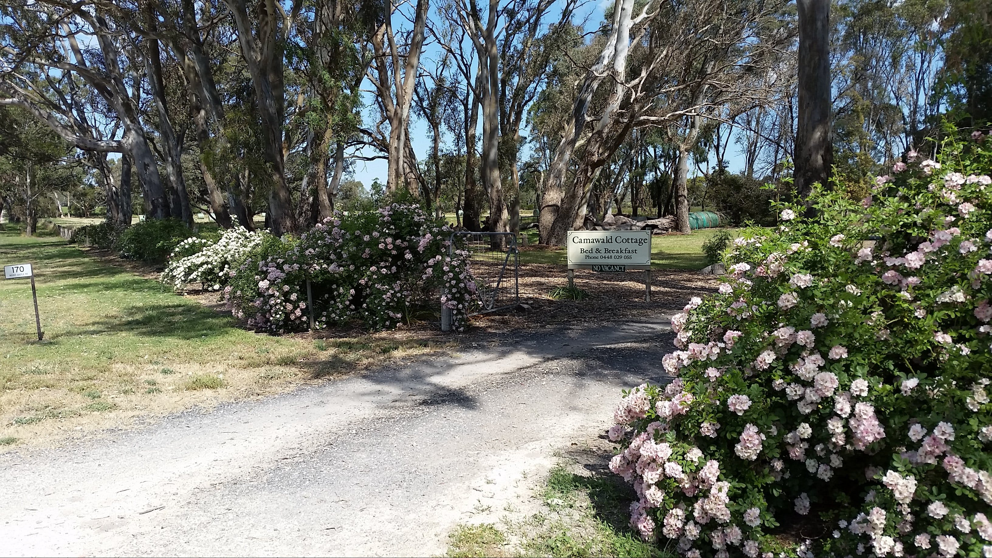 Camawald Coonawarra Cottage BB - Accommodation Bookings