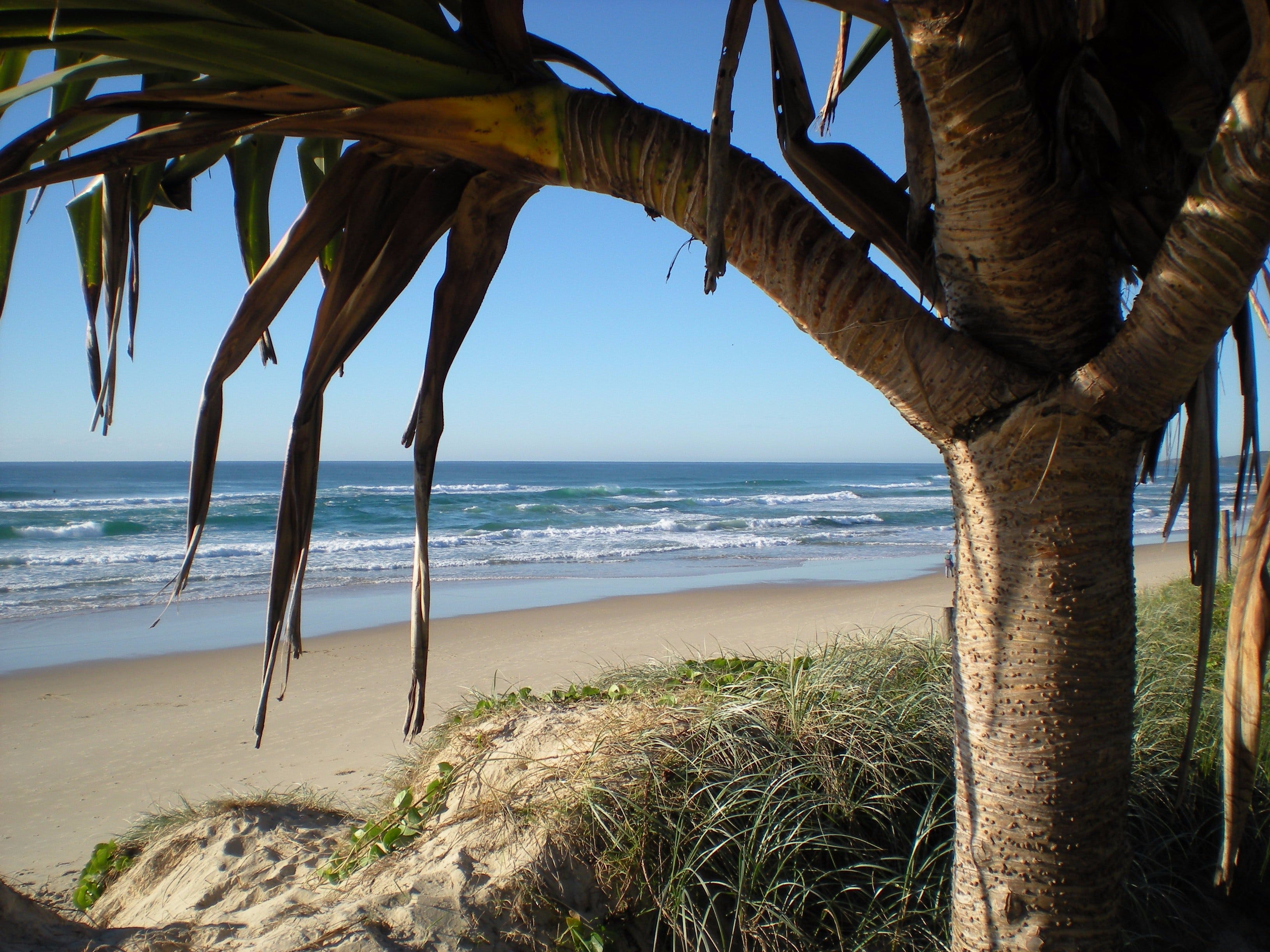 Horizons At Peregian - Accommodation in Surfers Paradise