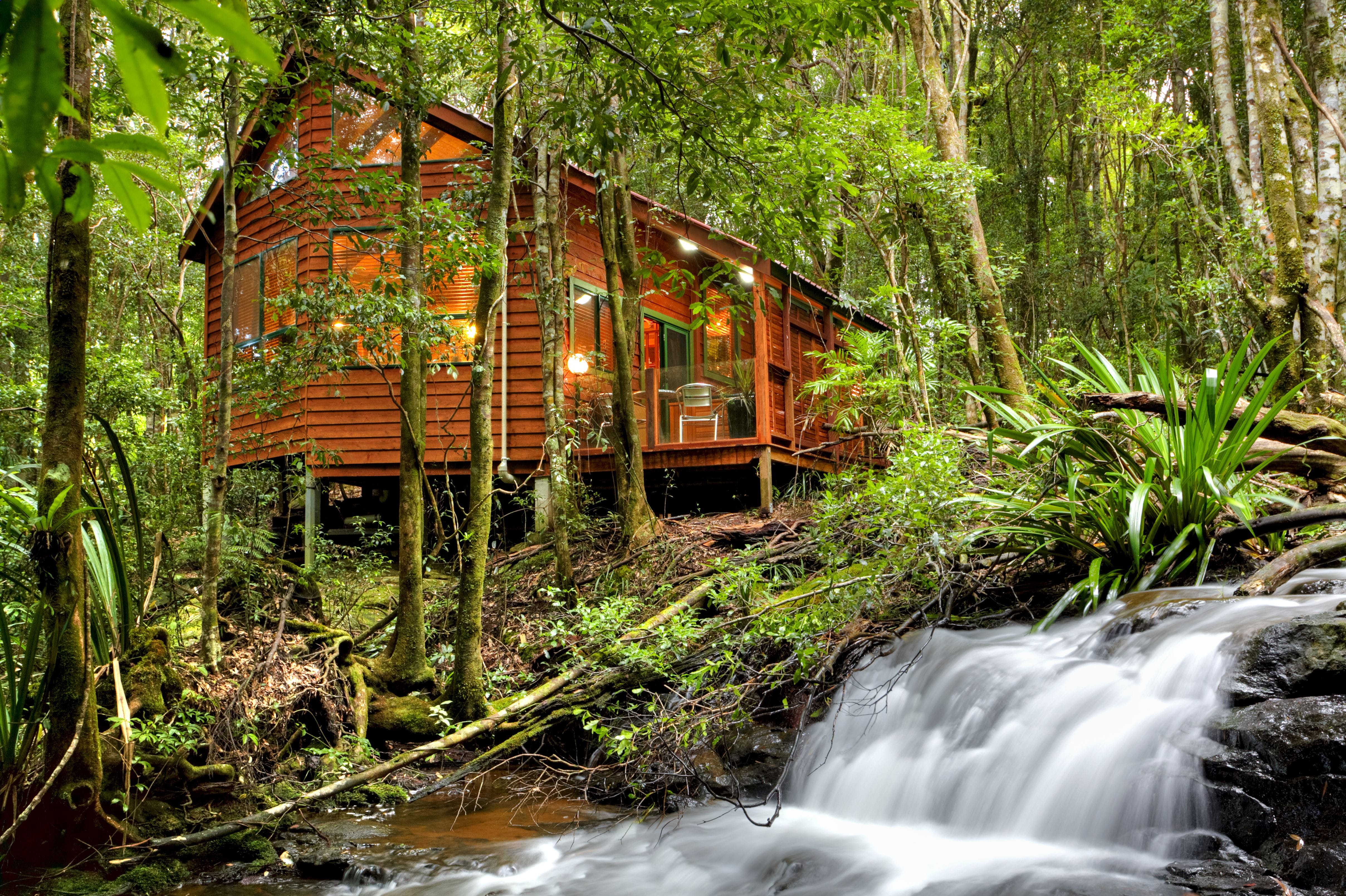 The Mouses House - Rainforest Retreat - Accommodation Mooloolaba