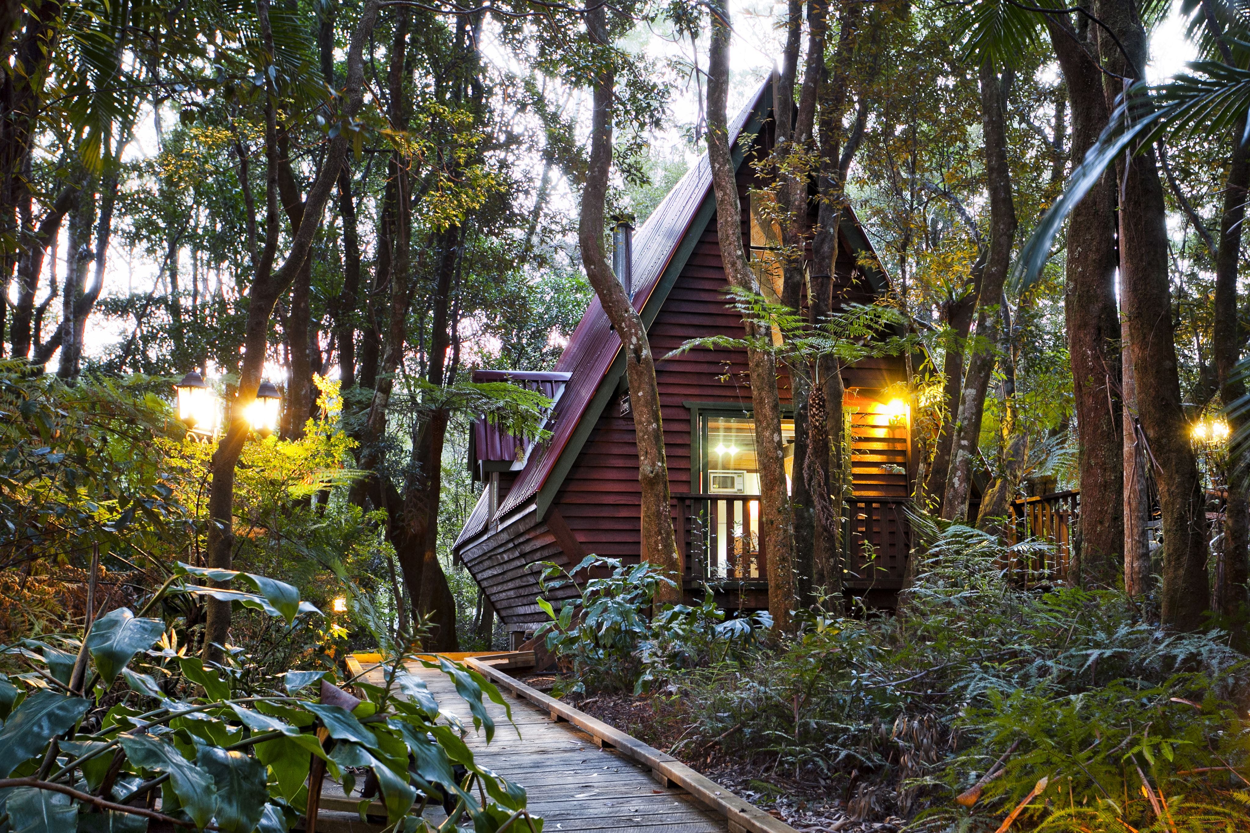 The Mouses House - Rainforest Retreat - thumb 2