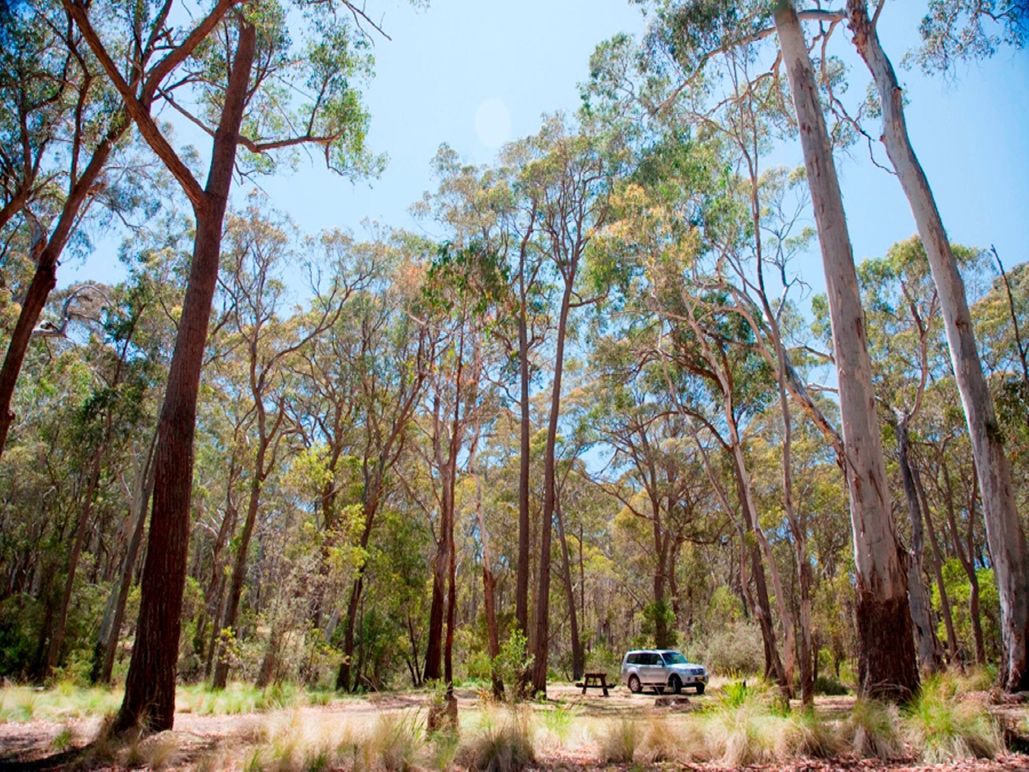 Coolah Tops National Park Camping - Wagga Wagga Accommodation