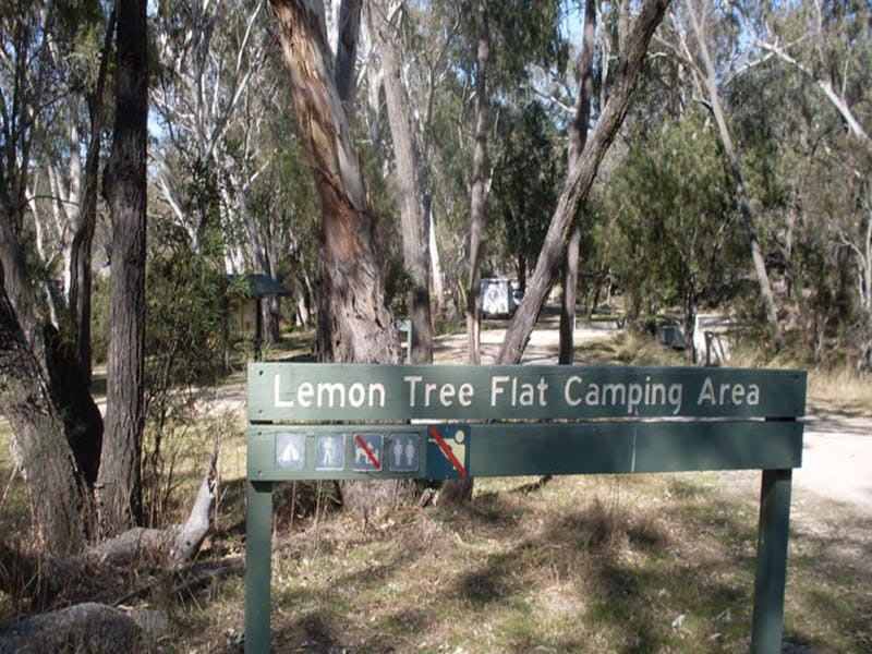 Lemon Tree Flat Campground - thumb 0