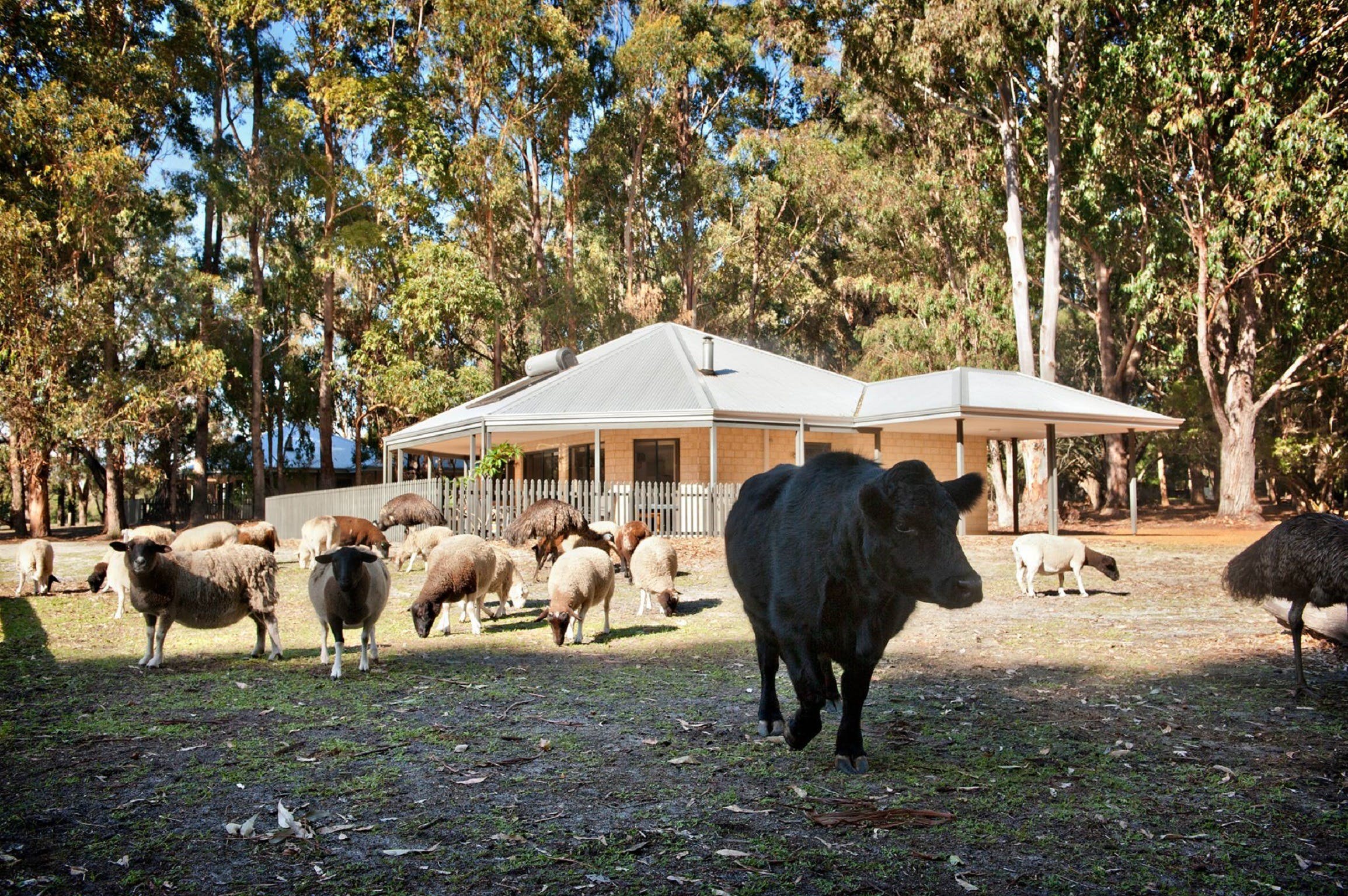 Margaret River Hideaway And Farmstay - thumb 1
