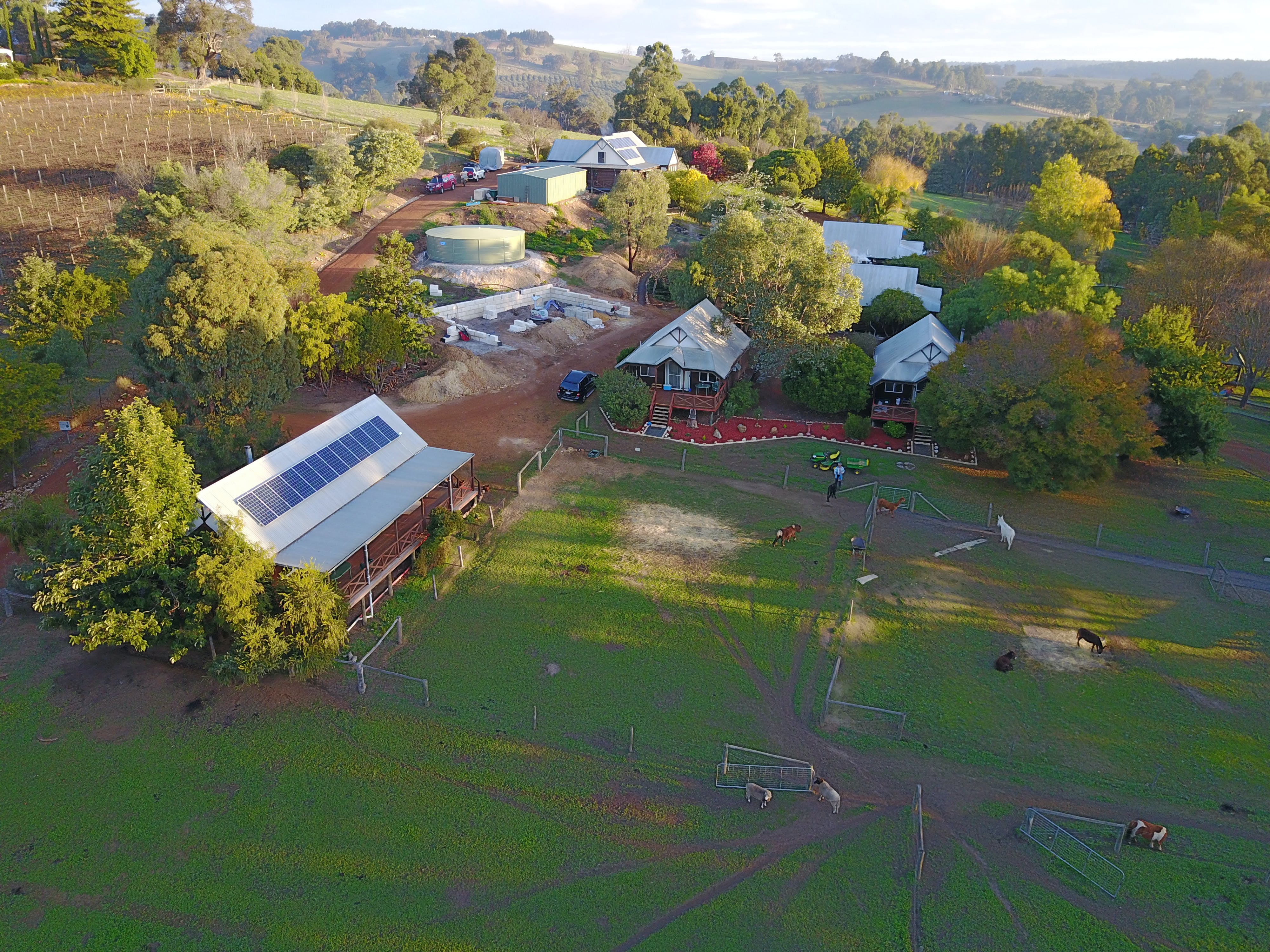 Sunnyhurst Chalets Farmstay - Accommodation Cooktown
