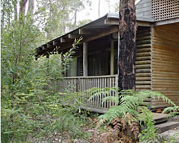 Beedelup House Cottages - thumb 4