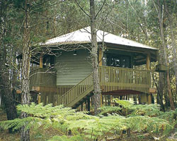 Possums Hideaway - Accommodation Nelson Bay