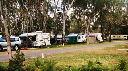 Buronga Riverside Tourist Park - Accommodation in Bendigo