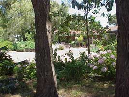 Peaceful Bay Bed and Breakfast - Accommodation Australia