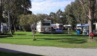 Pinjarra Caravan Park - Redcliffe Tourism