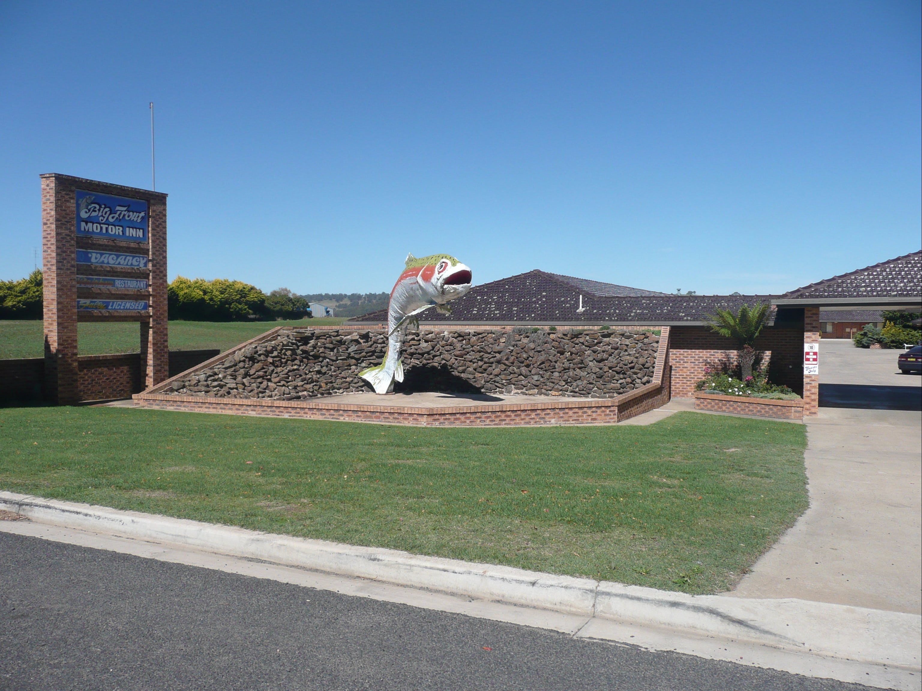 Big Trout Motor Inn - Accommodation Bookings