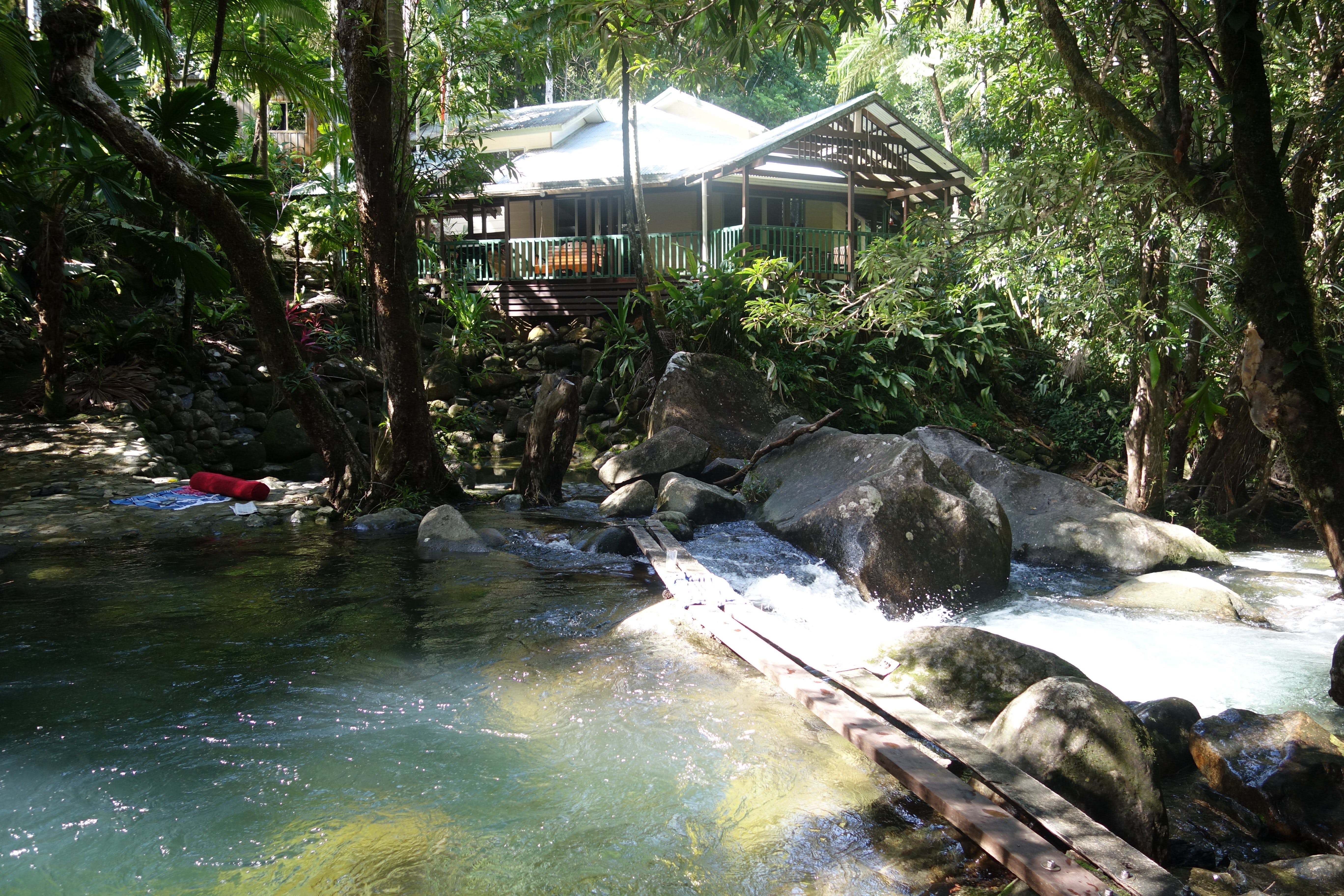 Daintree Secrets Rainforest Sanctuary - Accommodation Bookings 2