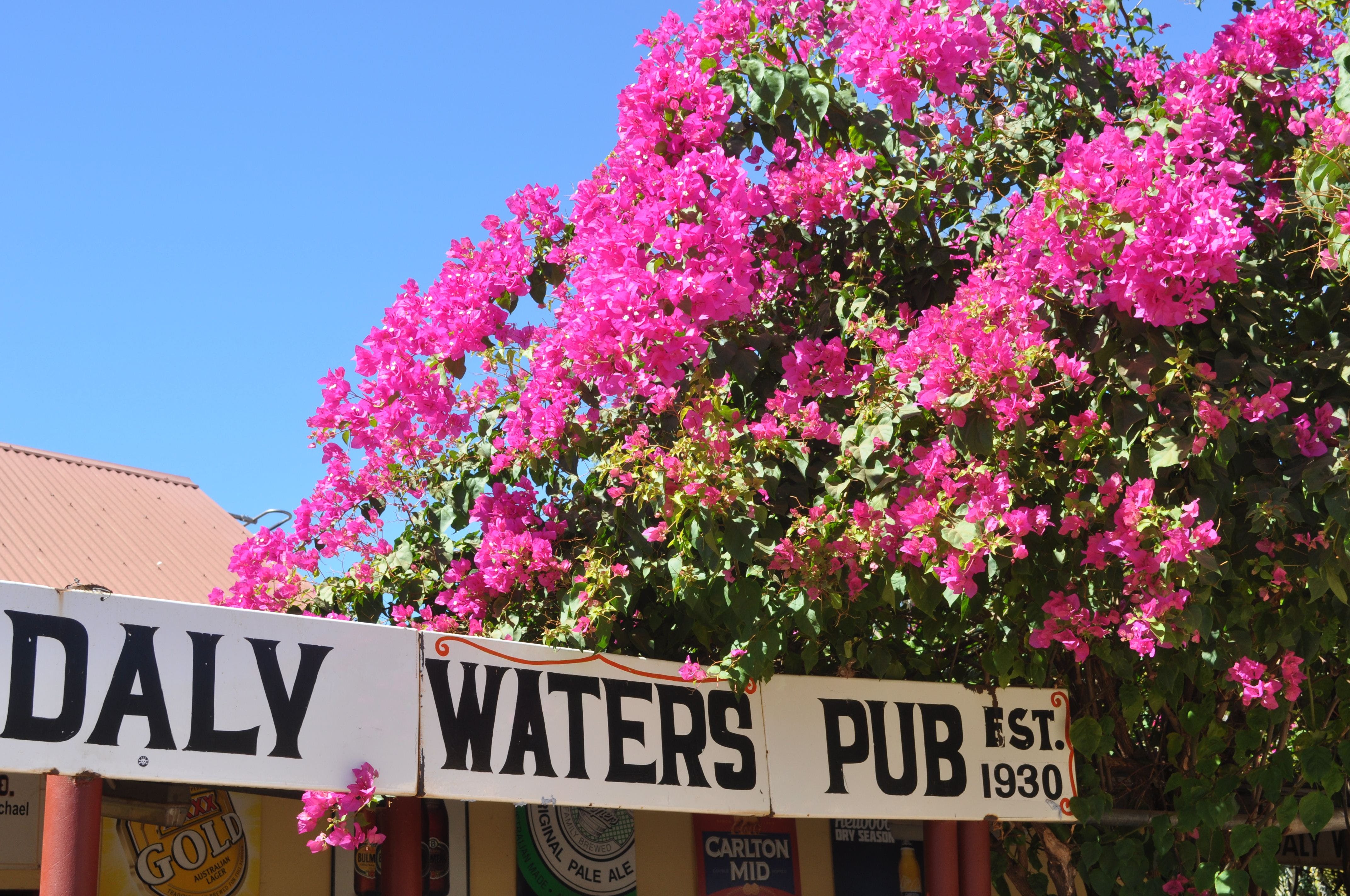 Daly Waters Historic Pub - Accommodation Bookings 0