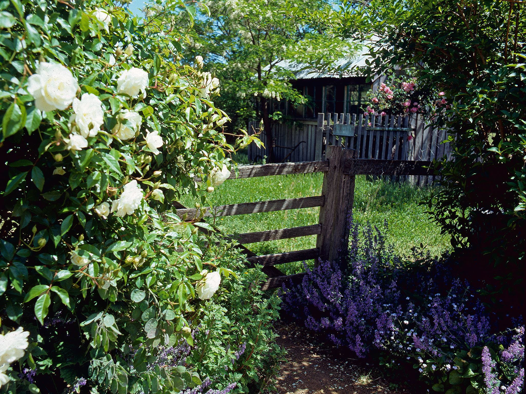 Hamilton's Cottage Collection And Country Gardens - Edwards - Accommodation Bookings 0