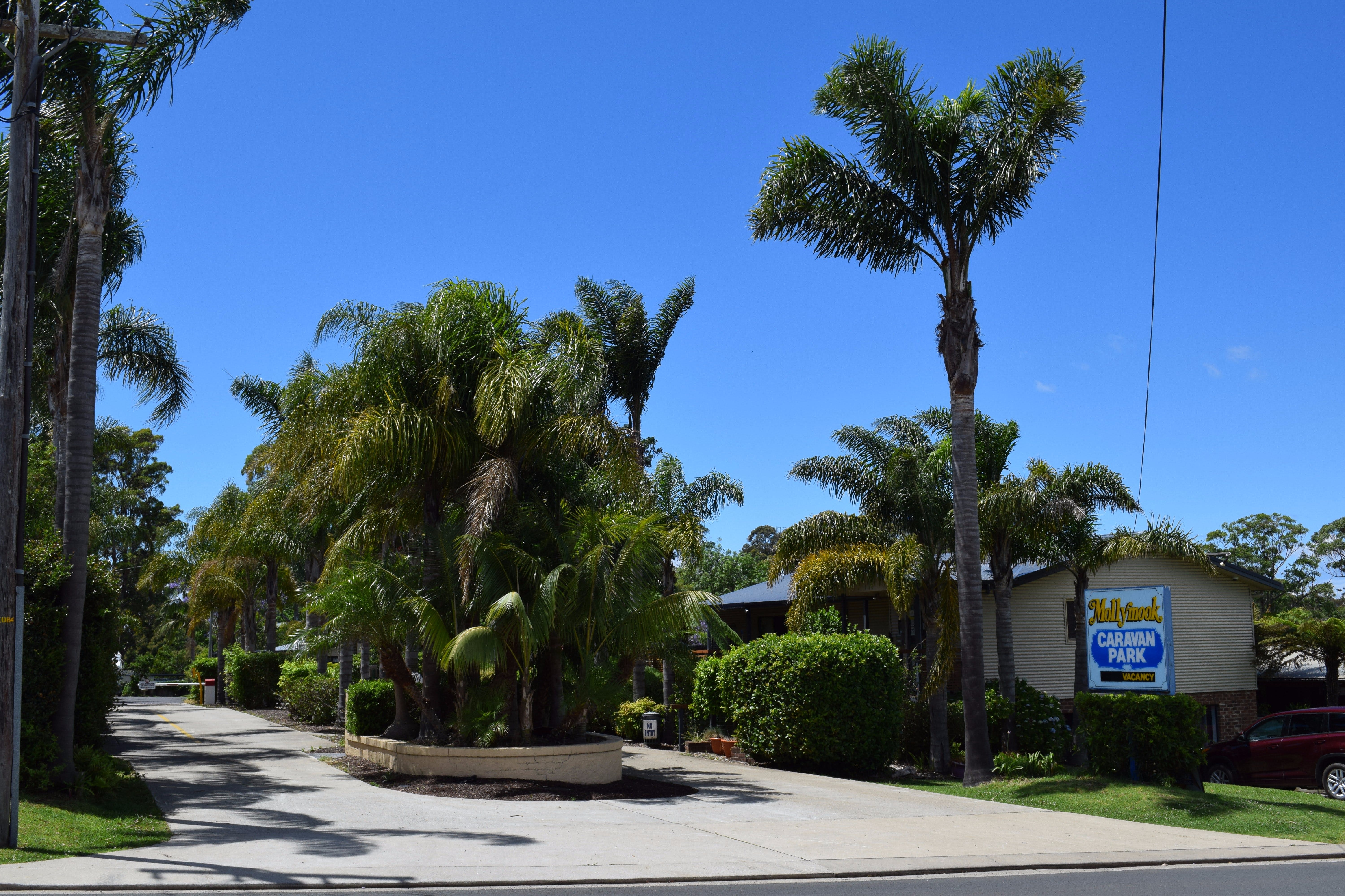 Mollymook Caravan Park - thumb 0