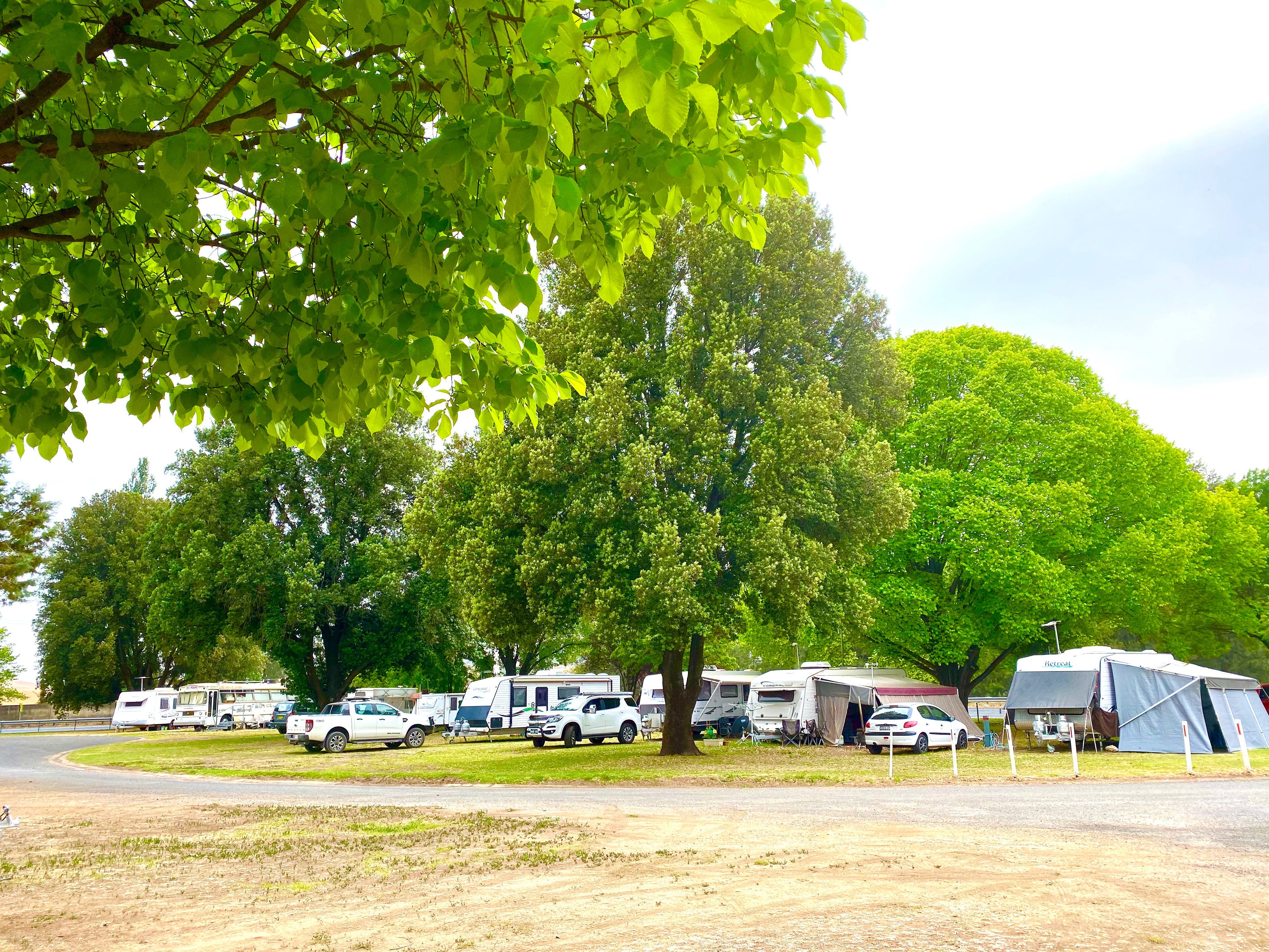 Molong Caravan Park - thumb 1